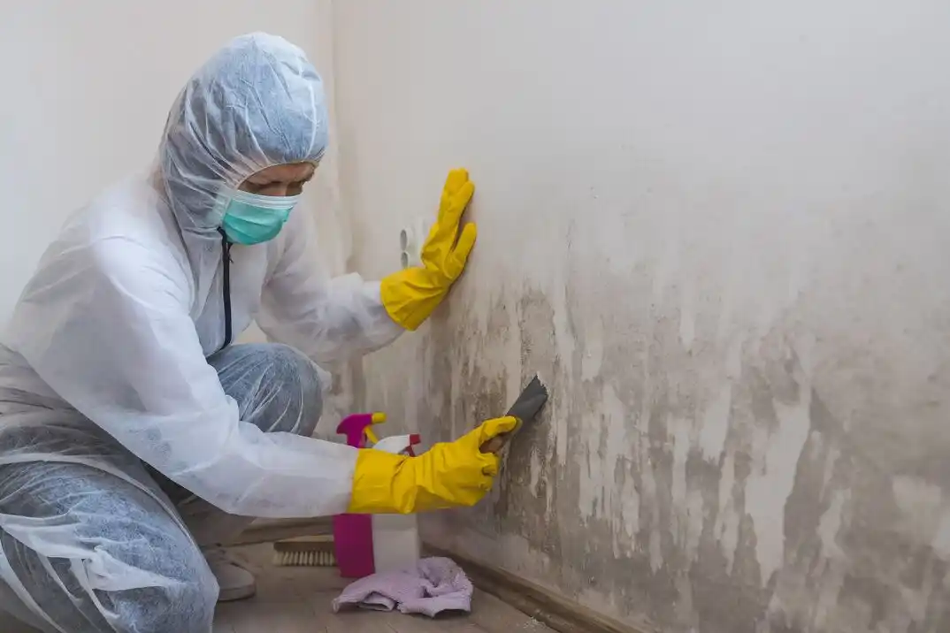 water damage restoration service Waterview at Enchanted Bay